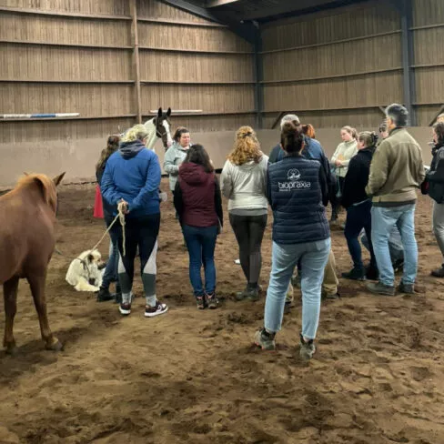 Crédit photo : Yéva Zaïdi Marx, IPOAM