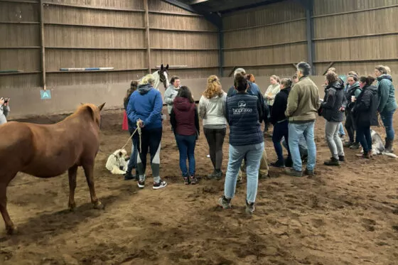 Crédit photo : Yéva Zaïdi Marx, IPOAM