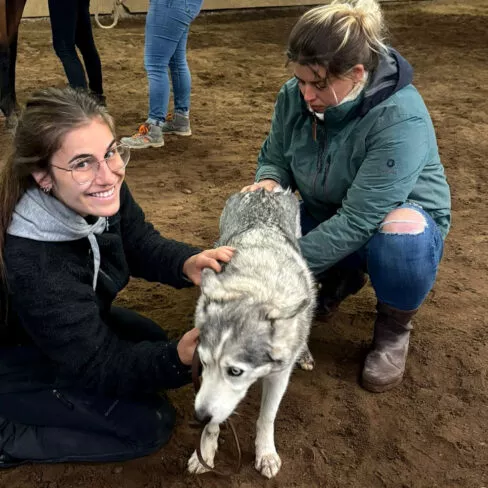 Crédit photo : Yéva Zaïdi Marx, IPOAM