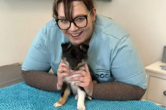 Crédit Photo : Constance Roinnel et Elevage de la forêt de Milassya