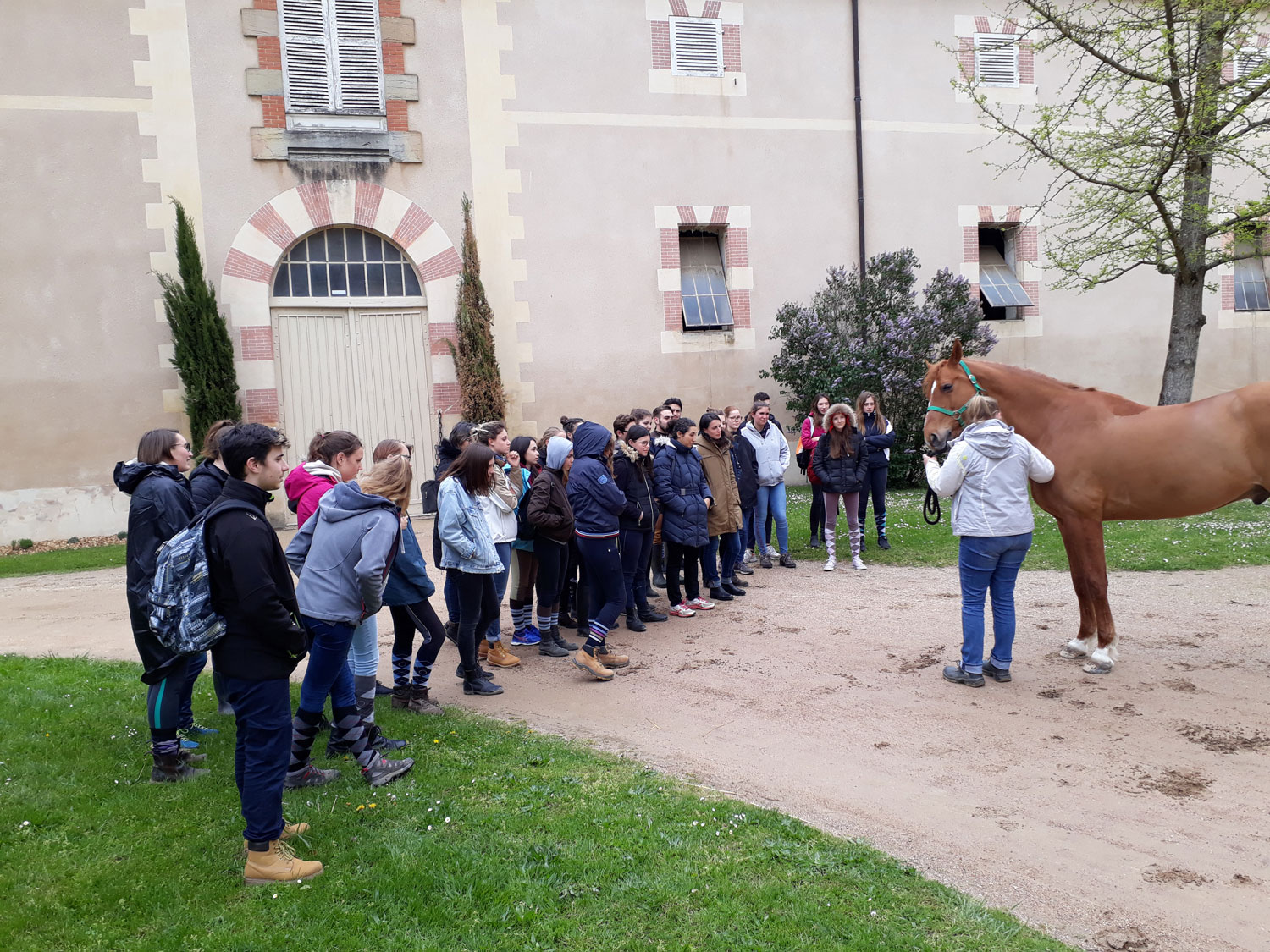 week-end-decouverte-cluny-osteopathie-animale