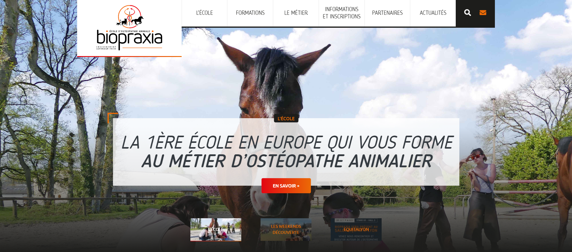 Le nouveau site de Biopraxia, école d'ostéopathie animale est en ligne